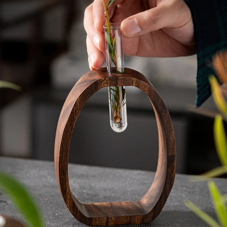 2Pcs/set Walnut Wood Glass Hydroponic Plant Container, Desptop Terrarium Bonsai Home Decor - Glass Tube Vase & Walnut Wood Base 3 sold 100K+ similar items sold